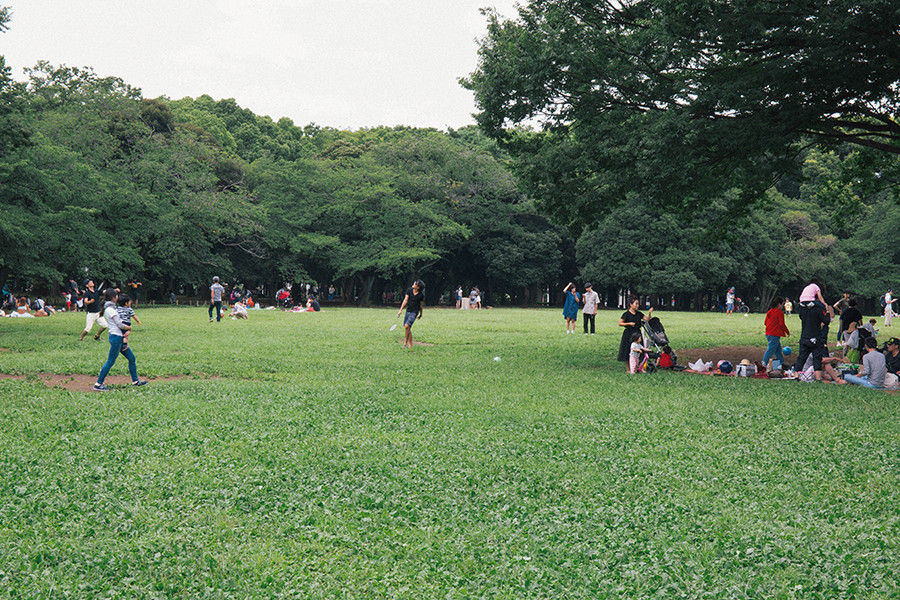 今回の舞台は、あなたの近所の公園。芝生が広がる気持ちの良いスペースがあるとなお良いでしょう。